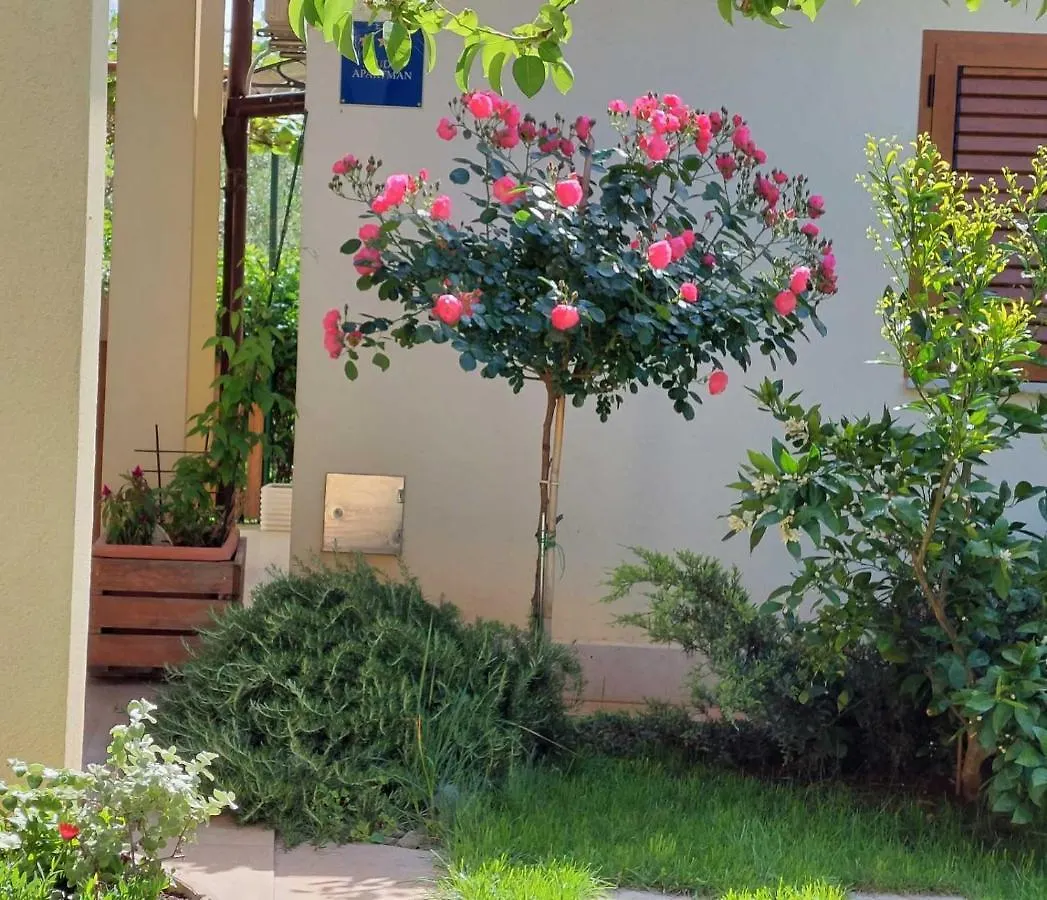 Adriatic Apartment Nada With Garden Fazana 0*,  Croatia
